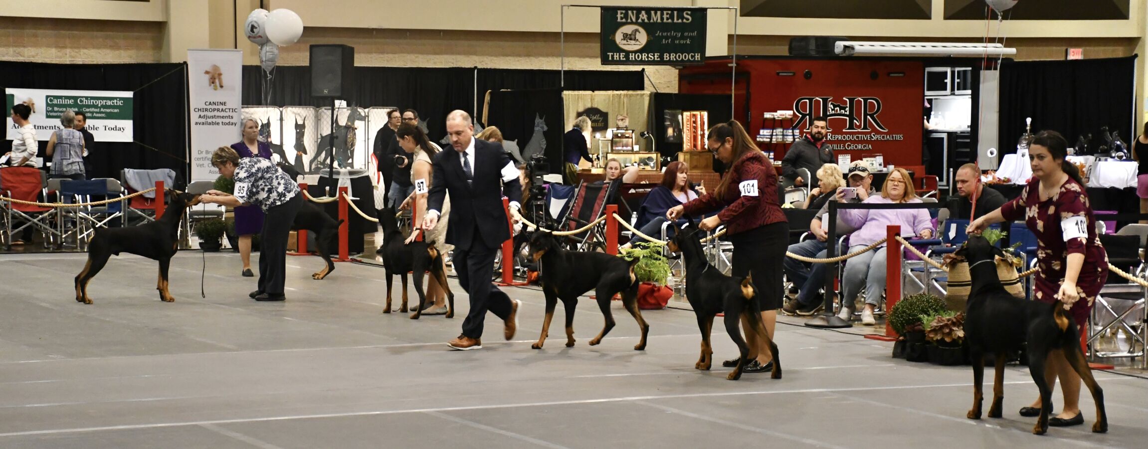 Dog show 2.JPEG